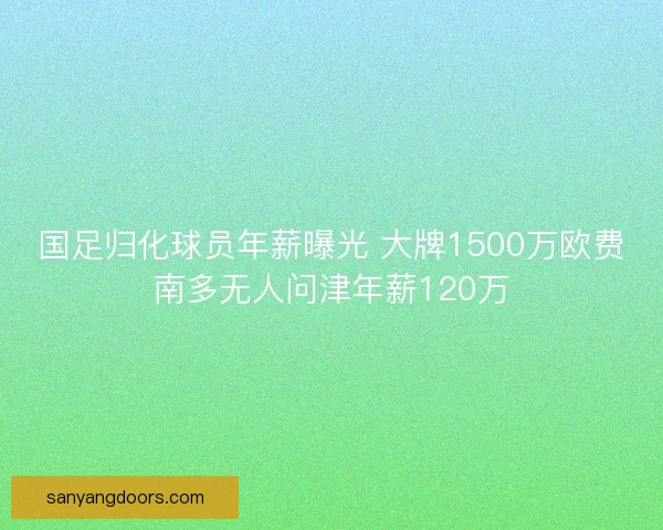 国足归化球员年薪曝光 大牌1500万欧费南多无人问津年薪120万