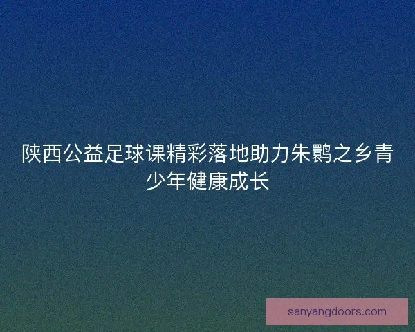 陕西公益足球课精彩落地助力朱鹮之乡青少年健康成长