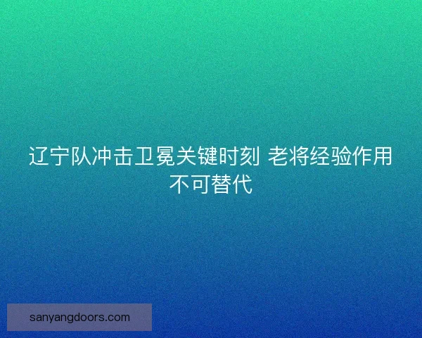 辽宁队冲击卫冕关键时刻 老将经验作用不可替代