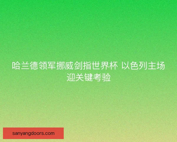 哈兰德领军挪威剑指世界杯 以色列主场迎关键考验